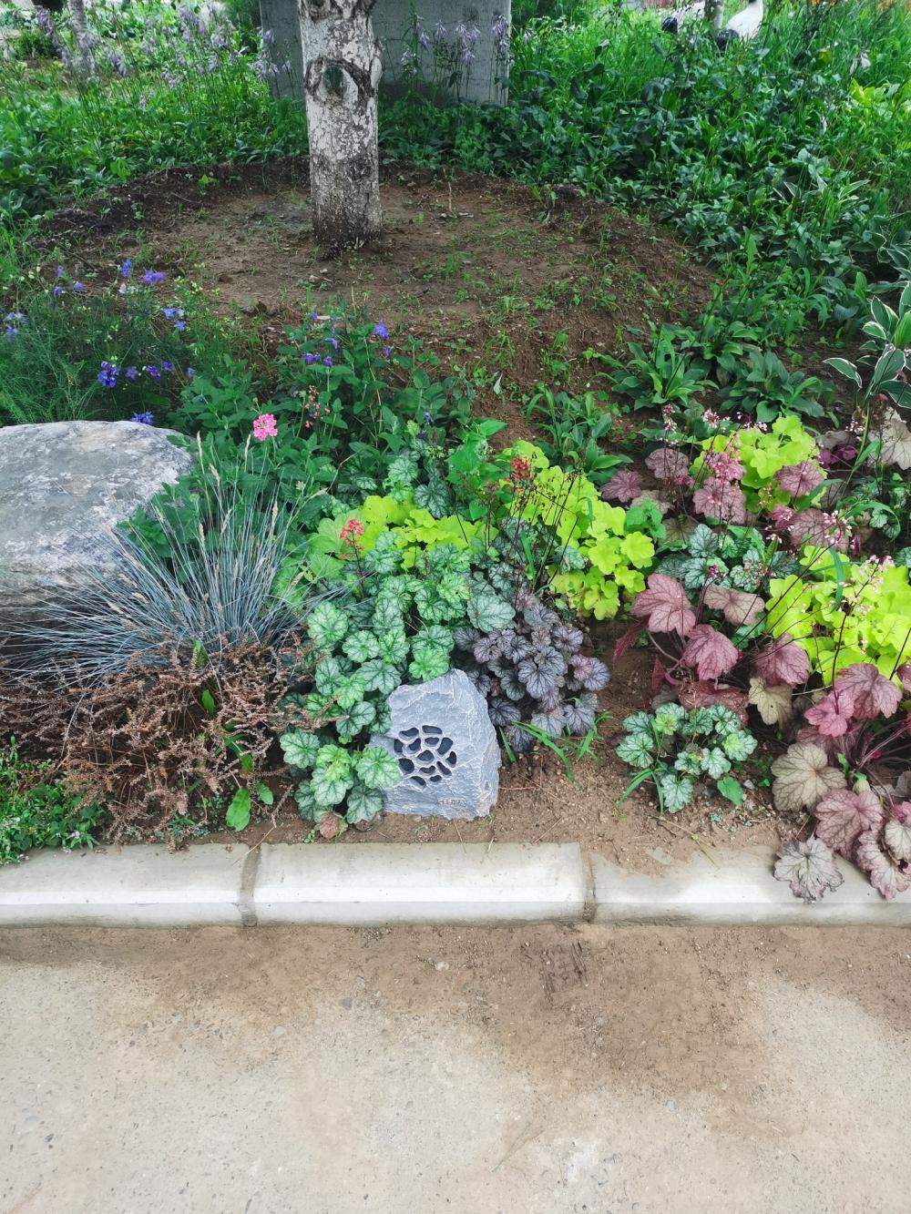 红栗山庄弱电智能化工程(图2)