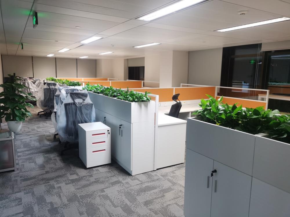 财信证券办公室改造工程(图2)